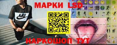 гашик Новозыбков