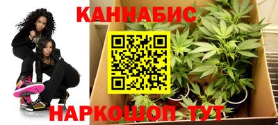 гашик Новозыбков