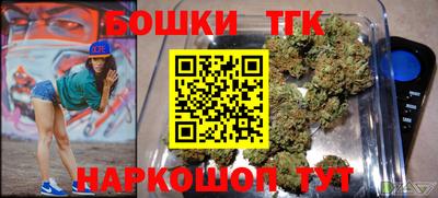 гашик Новозыбков