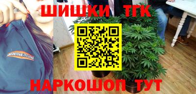 гашик Новозыбков