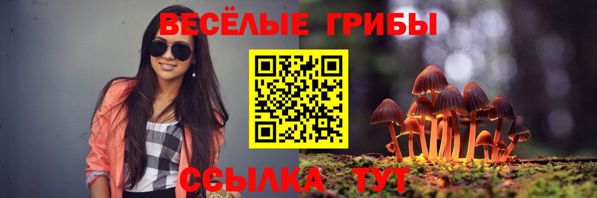 МЕФ   Сальск  НБОМе  Вход с VPN  Марихуана  Гашиш 