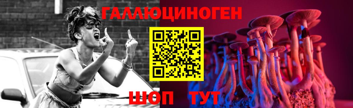 Сальск  Галлюциногенные грибы Psilocybine cubensis  Вход с VPN 